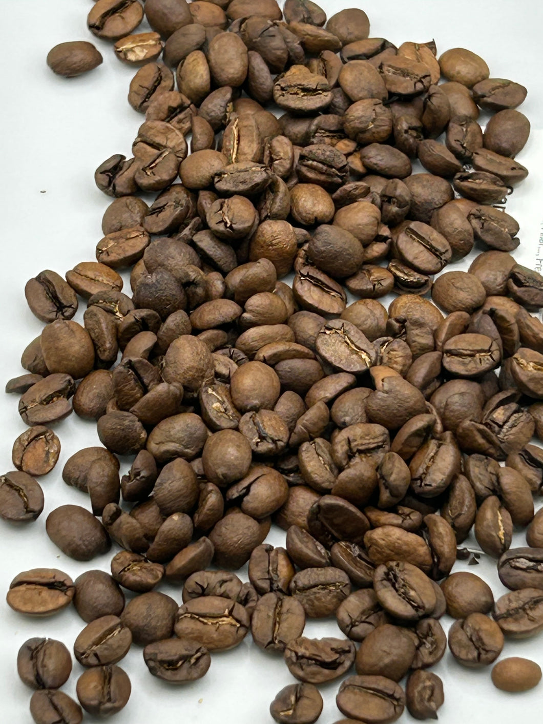 Nicaragua SHG